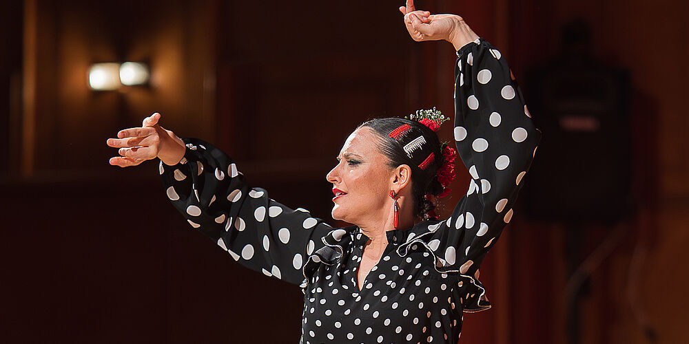 Flamenco Night