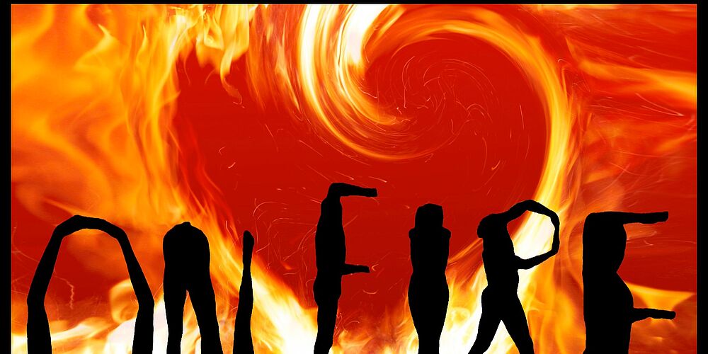 Michaela Koehler-Schaer