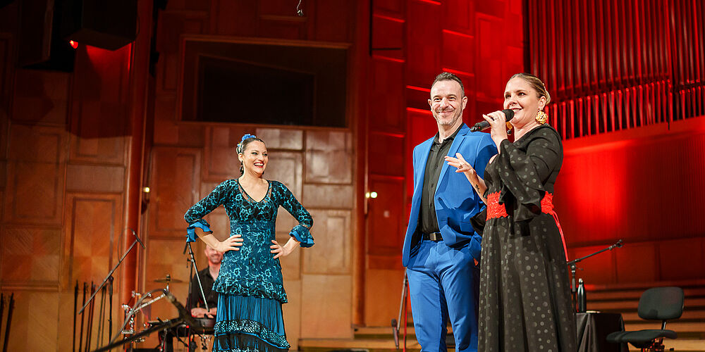 Flamenco Night