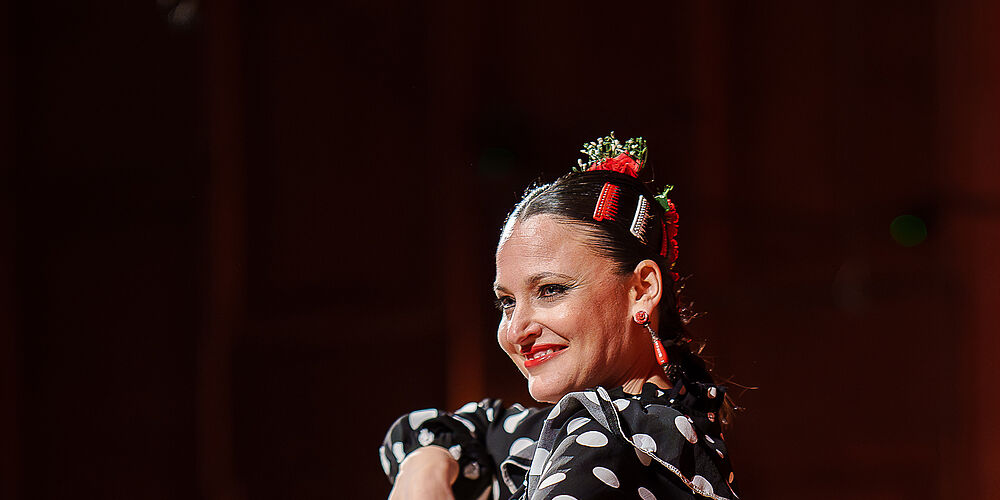 Flamenco Night